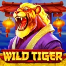 Wild Tiger